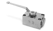 Manifold mount or Cartridge Ball valve